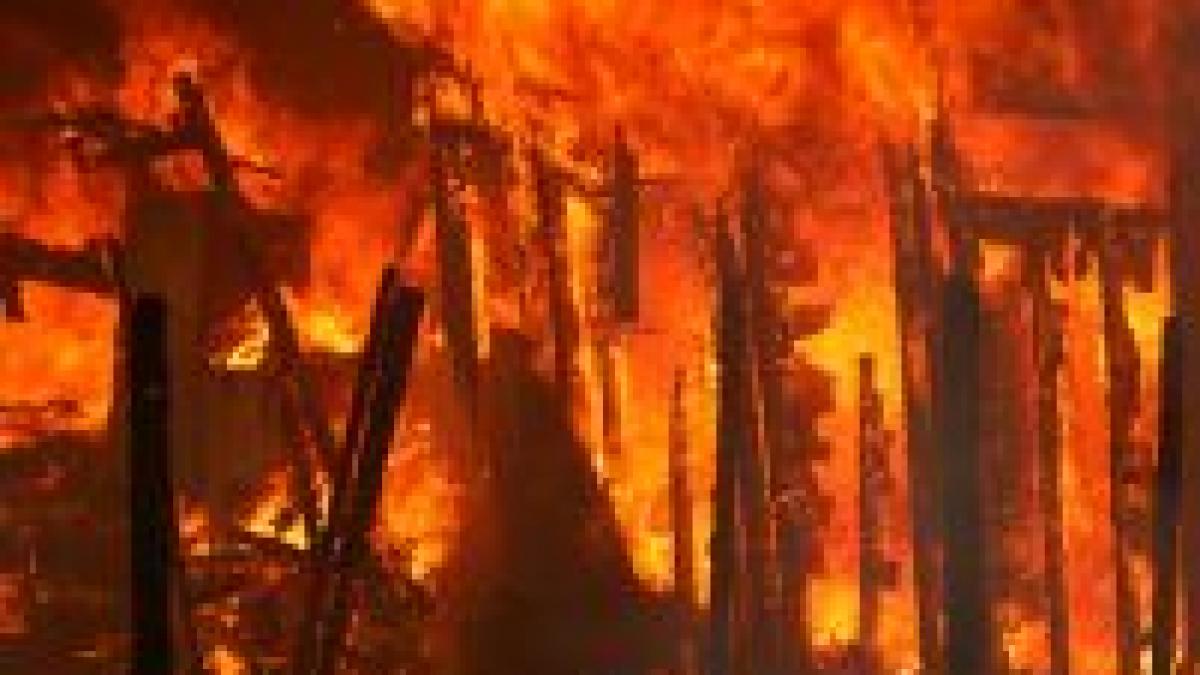 Stare de urgenţă în California. Incendiile de vegetaţie fac ravagii