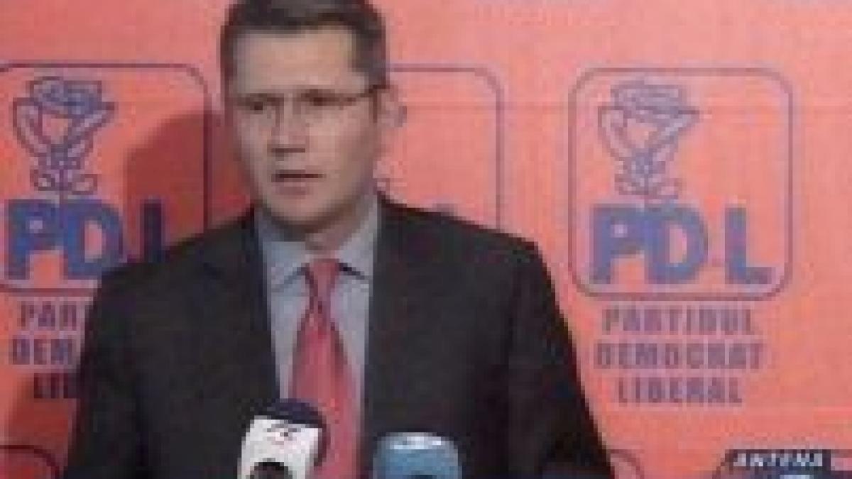 Negoiţă: PNL, PSD, PC şi UDMR s-au coalizat împotriva PD-L