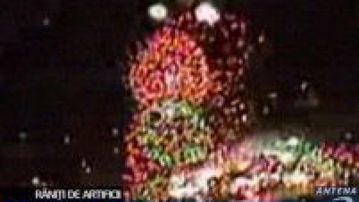 Iowa. 37 de oameni, răniţi de artificiile lansate de Ziua Independenţei