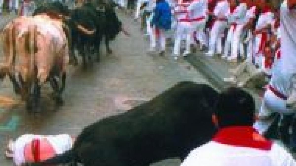 Spania. Un român a fost rănit la cursele cu tauri din Pamplona