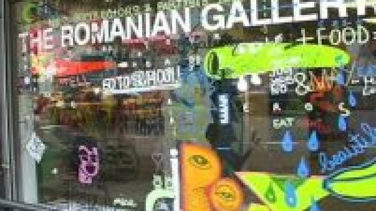 ICR din New York apără expoziţia ?cu zvastica şi sex?