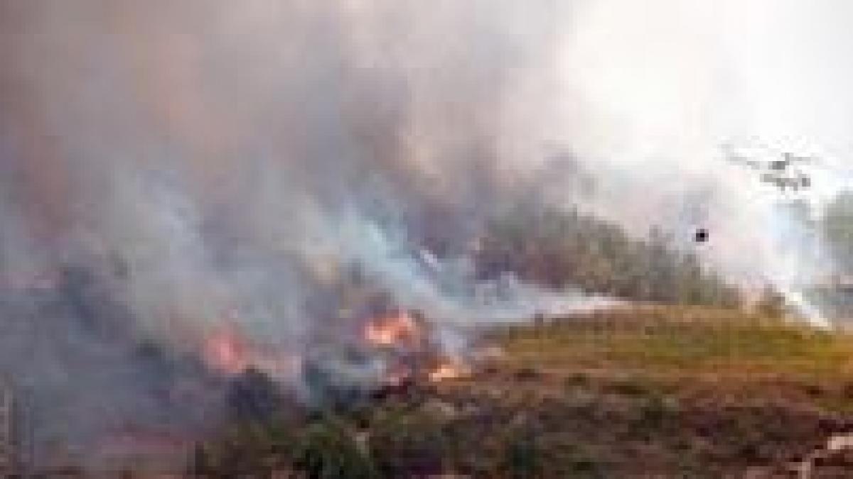 Bilanţul incendiului din Turcia: Doi morţi şi 4.000 de hectare de pădure arse