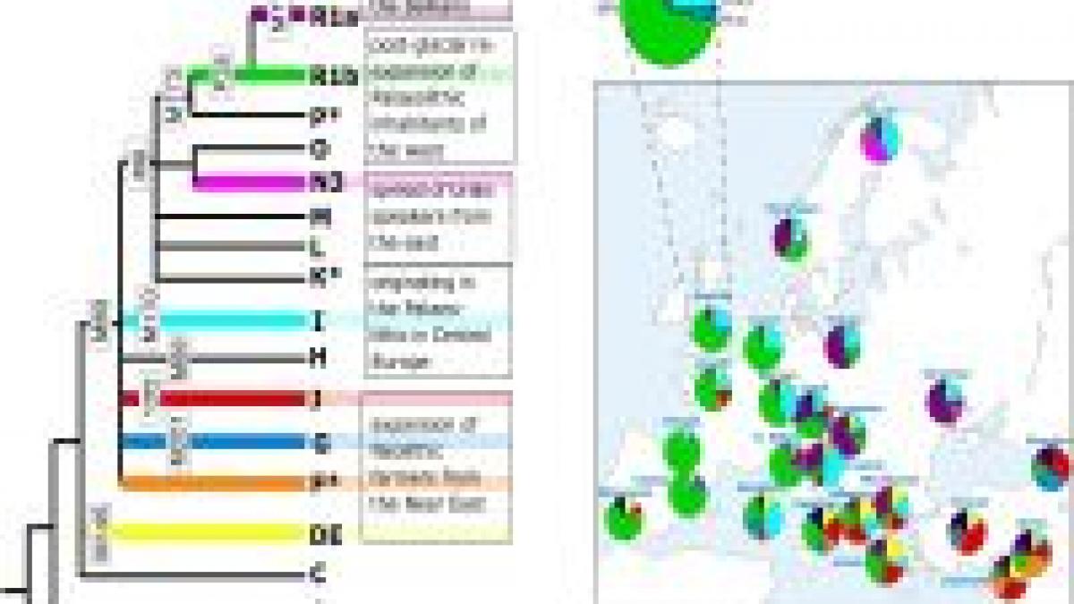 Harta genetică a Europei seamănă cu harta geografică