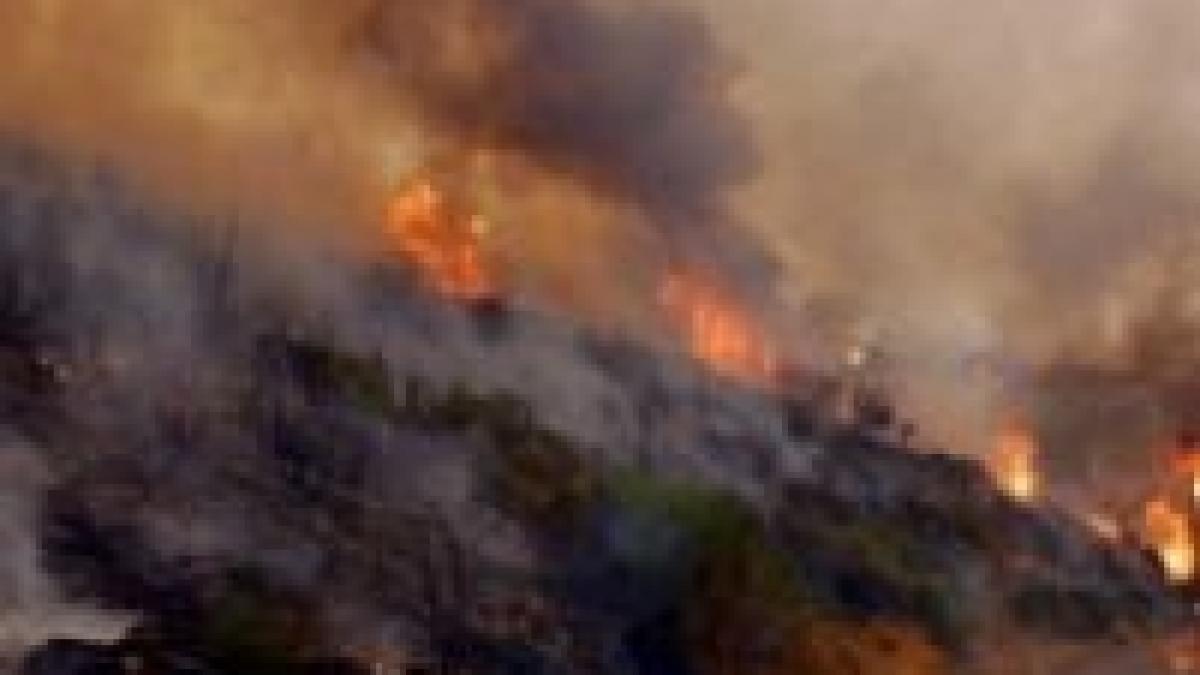 Incendiu de pădure în judeţul Cluj