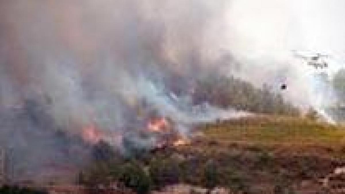 Circulaţie îngreunată pe autostrada A2 din cauza unui incendiu de vegetaţie