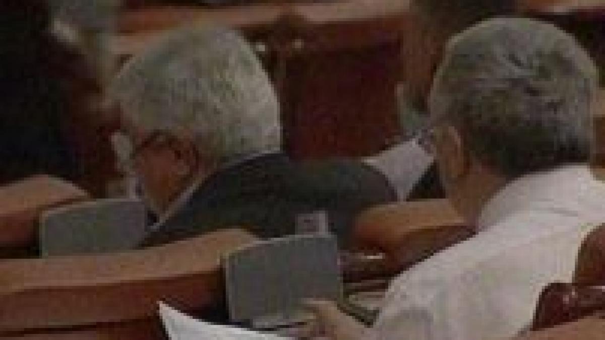 Senatul discută cererea PRM de amânare a votului uninominal până în 2012