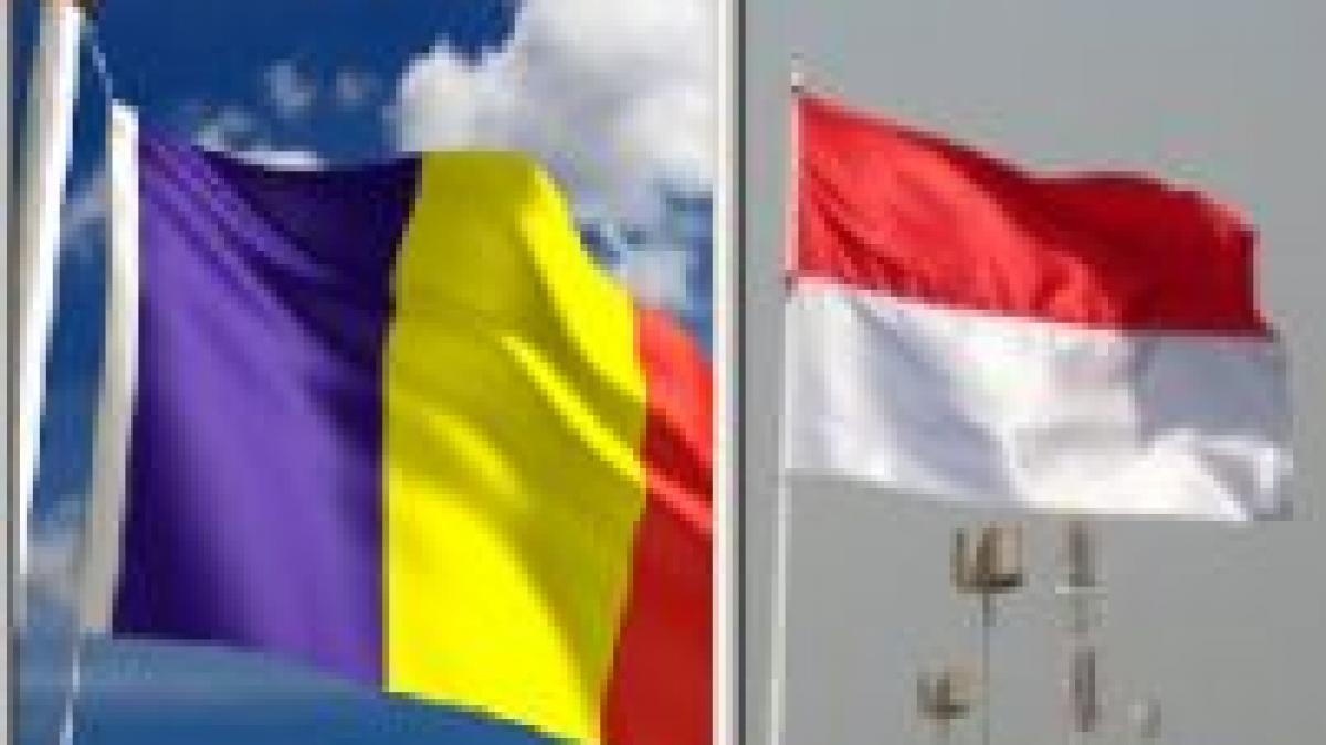 România ar putea acorda asistenţă Indoneziei pentru combaterea corupţiei