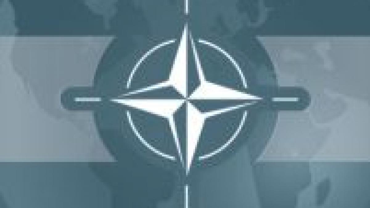 NATO acuză Rusia că a folosit în mod "disproporţionat" forţa militară în Georgia