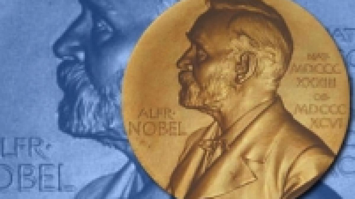 Premiile NOBEL 2008. 1 milion de euro pentru o minte îndrăzneaţă