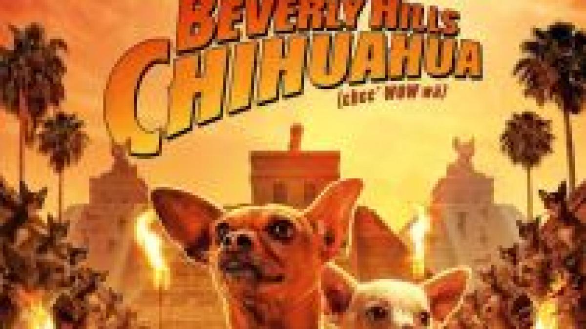 Beverly Hills Chihuahua, pe locul I în box office-ul american