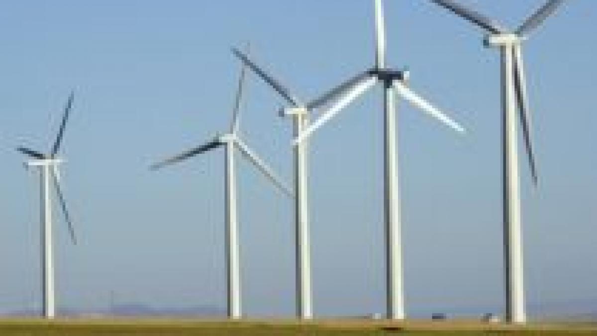 Un grup portughez a cumpărat două firme româneşti de energie eoliană cu 8,4 milioane euro

