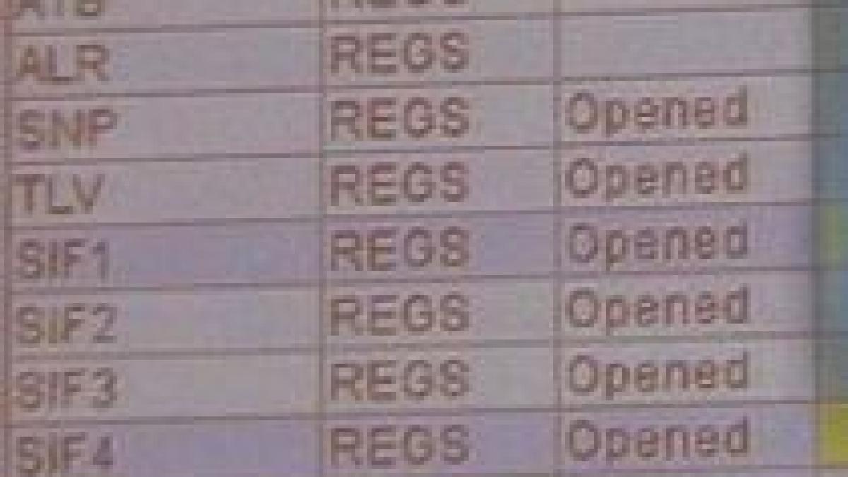 Leul scade cu şapte bani faţă de euro după ce Standard & Poor's a redus ratingul României 