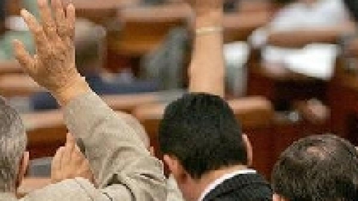 Tupeu electoral: Nu s-au remarcat în Parlament, dar candidează pentru un nou mandat