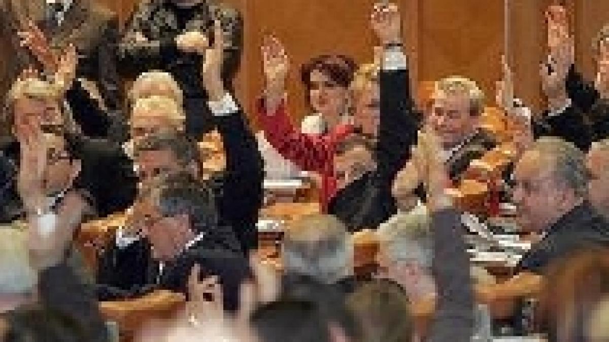 Campanie cu bâte şi pumni: Bătăi, agresiuni şi lovituri sub centura politicii