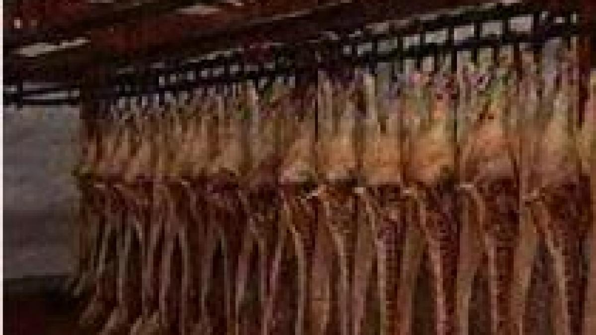 Lista judeţelor în care a ajuns carnea de porc cancerigenă