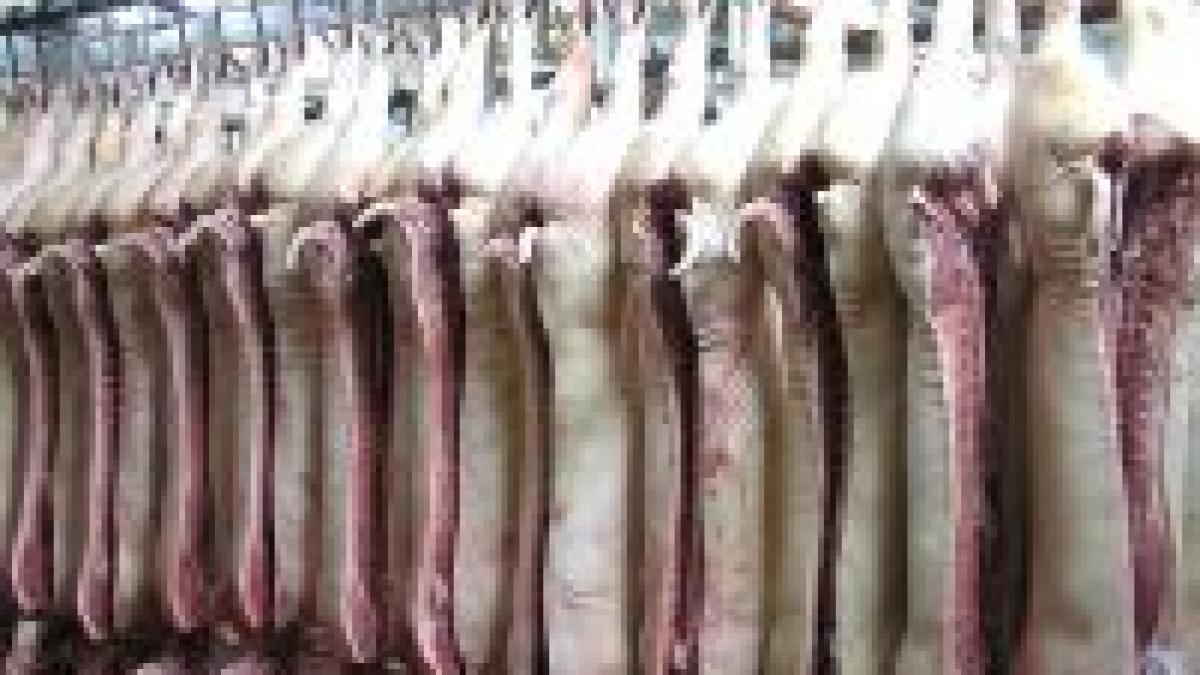 Alte 500 de kilograme de carne de porc contaminată cu dioxină, retrase de pe piaţă