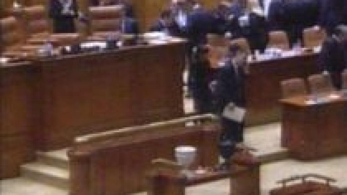 Guvernul Boc a trecut de Parlament. Miniştrii au depus jurământul în faţa preşedintelui