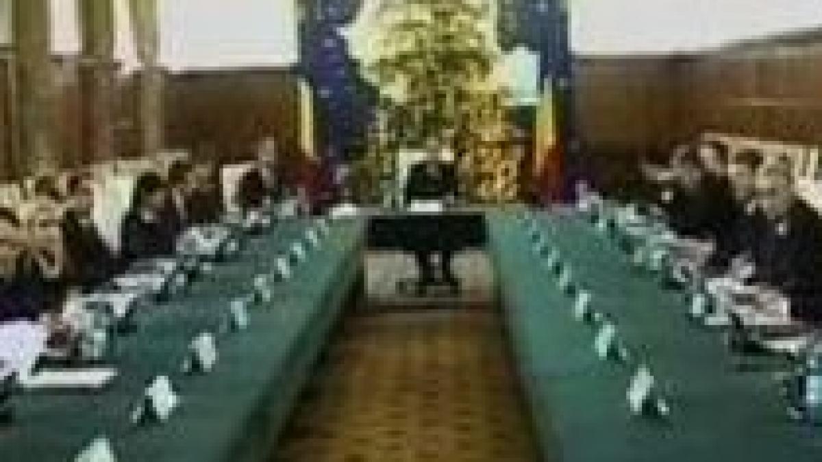 Cabinetul Boc s-a reunit pentru a stabili bugetul de criză