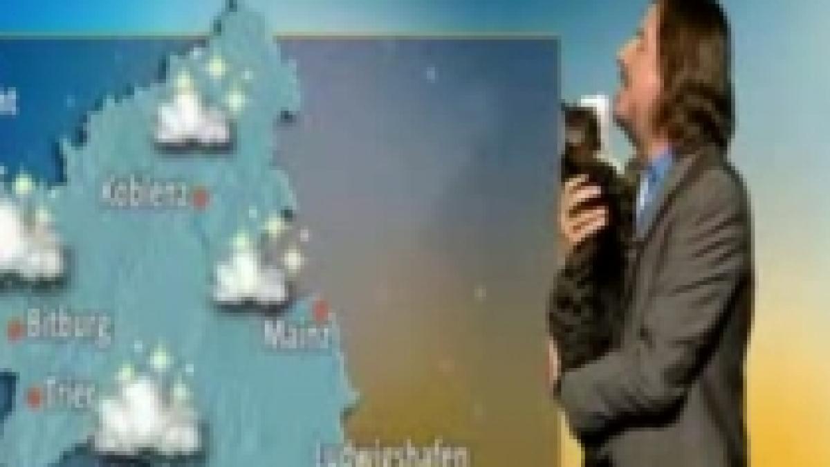 Cu pisica în braţe. O modalitate inedită de a prezenta rubrica meteo (VIDEO) 