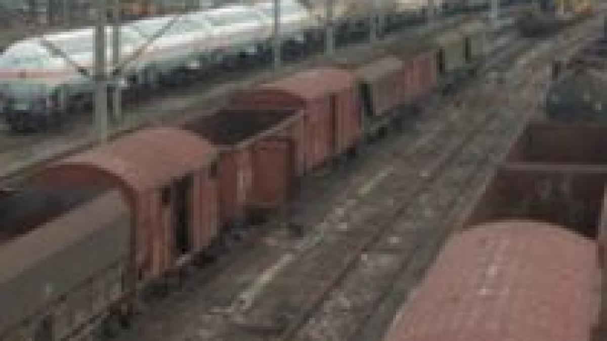 Doi constănţeni, prinşi după ce au furat o tonă de cărbune din vagoane de tren