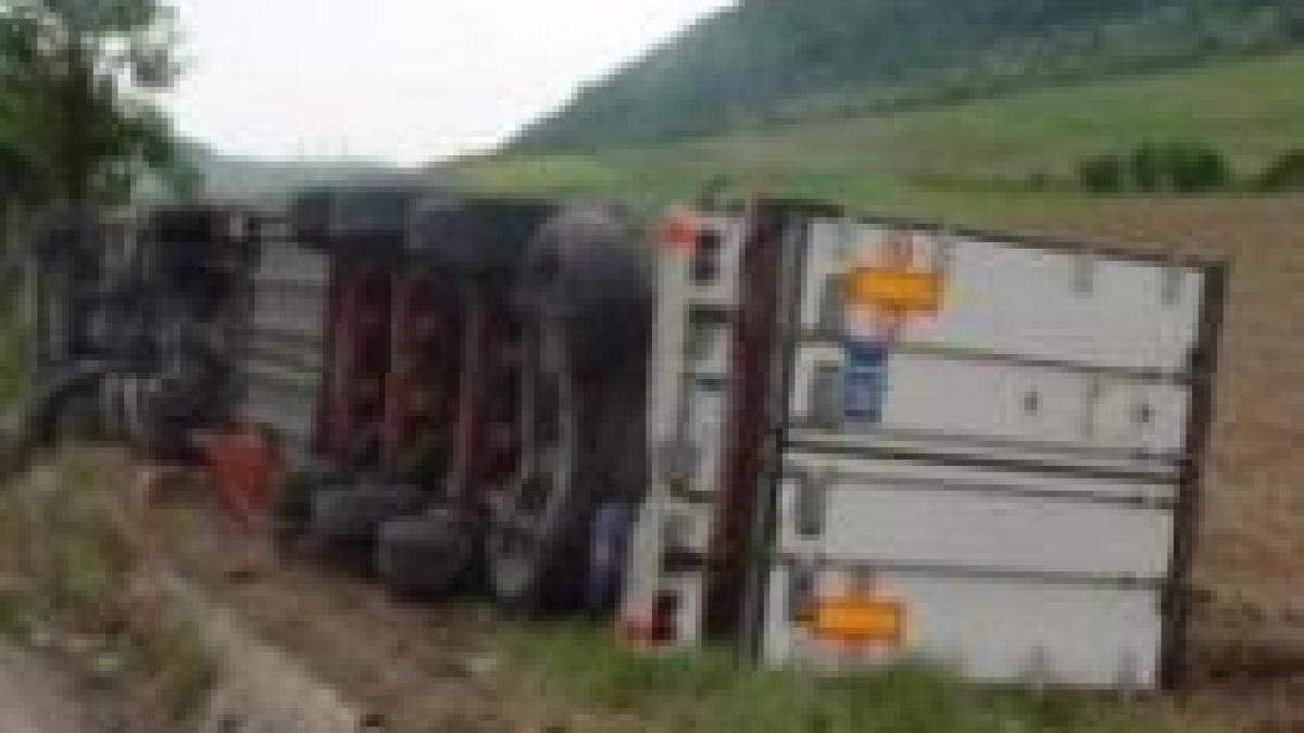 Infotrafic. Un TIR încărcat cu porci vii s-a răsturnat lângă Deva
