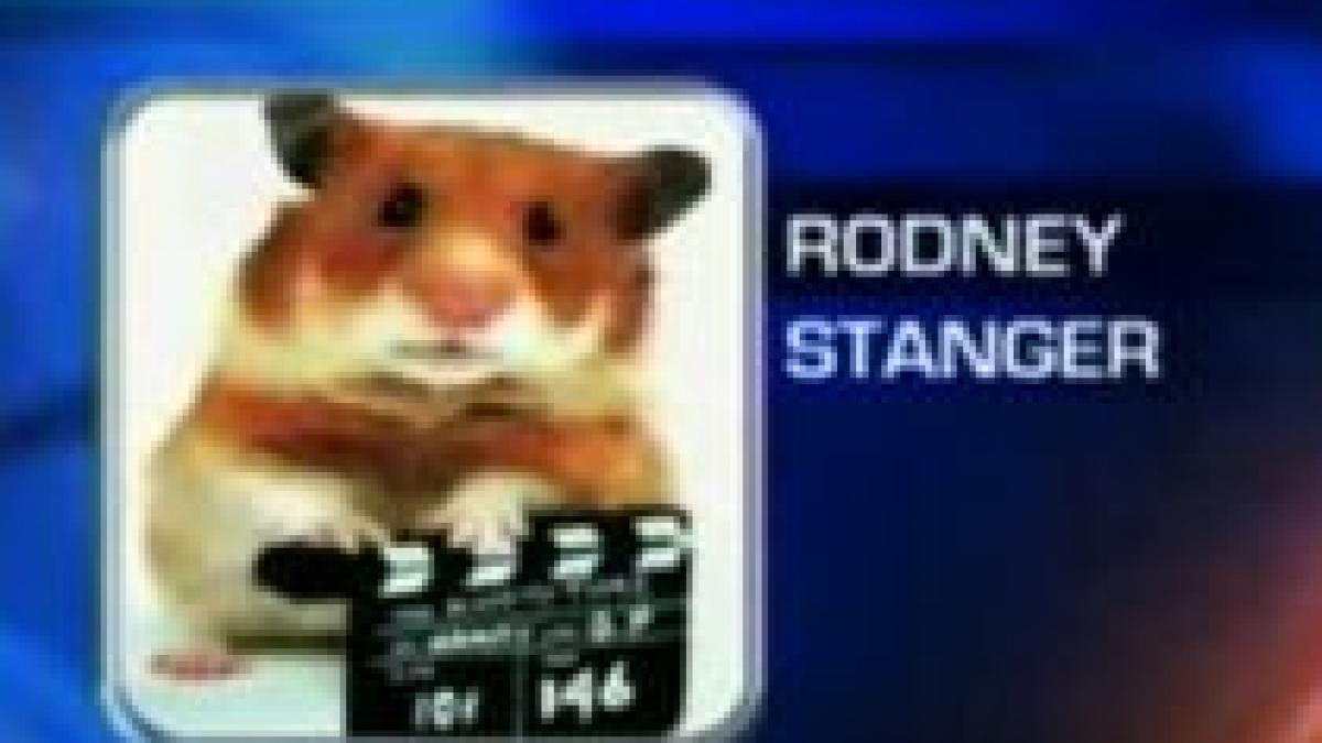 Hamster, suspect de crimă în California :) (VIDEO)