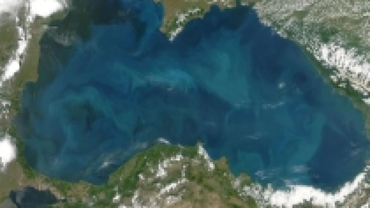 Ruşii vs. Patriciu. Cine ia resursele de la Marea Neagră?