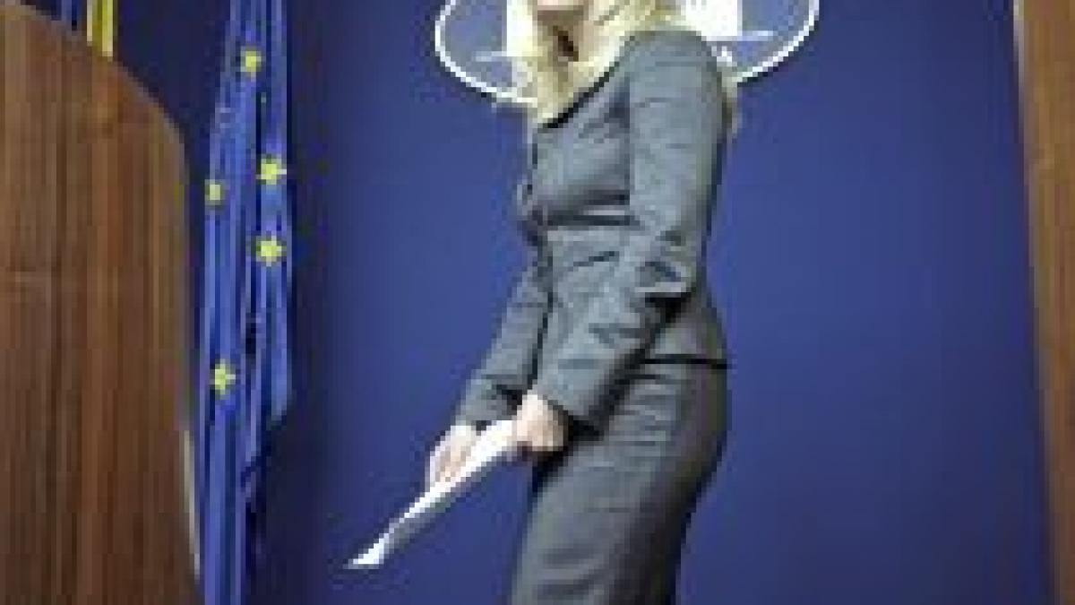 Elena Udrea ar putea primi aprobarea guvernului  pentru tichetele de vacanţă

