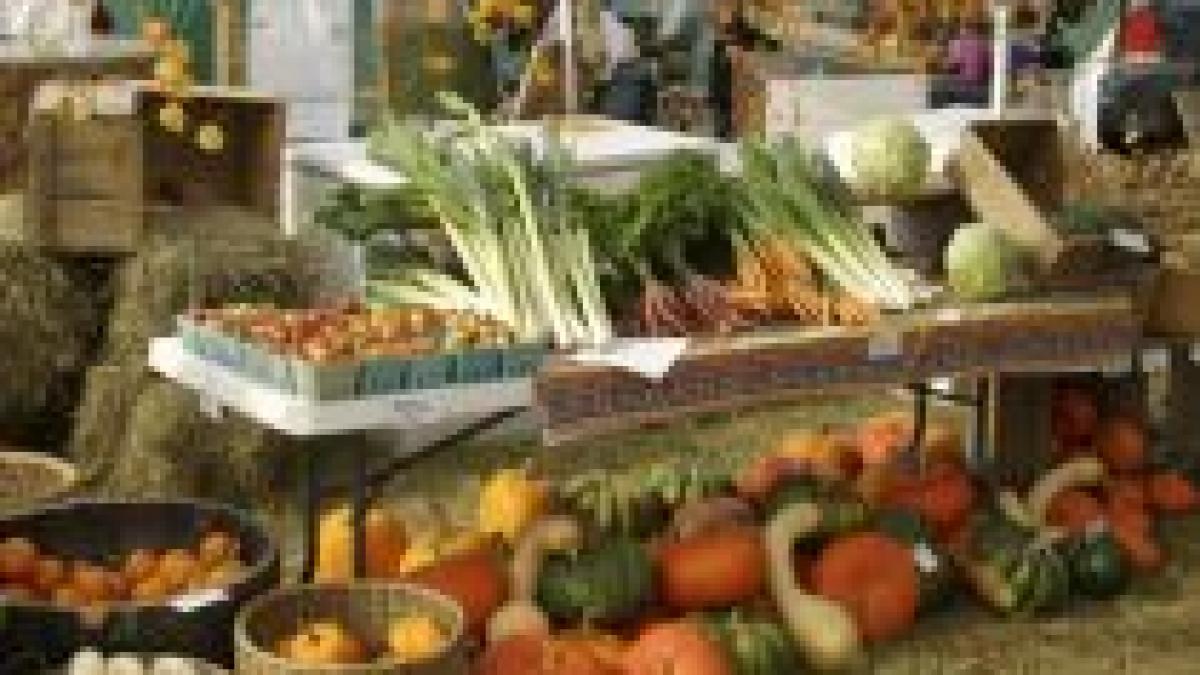 Alimentele s-ar putea ieftini după intrarea în vigoare a Codului de bune practici