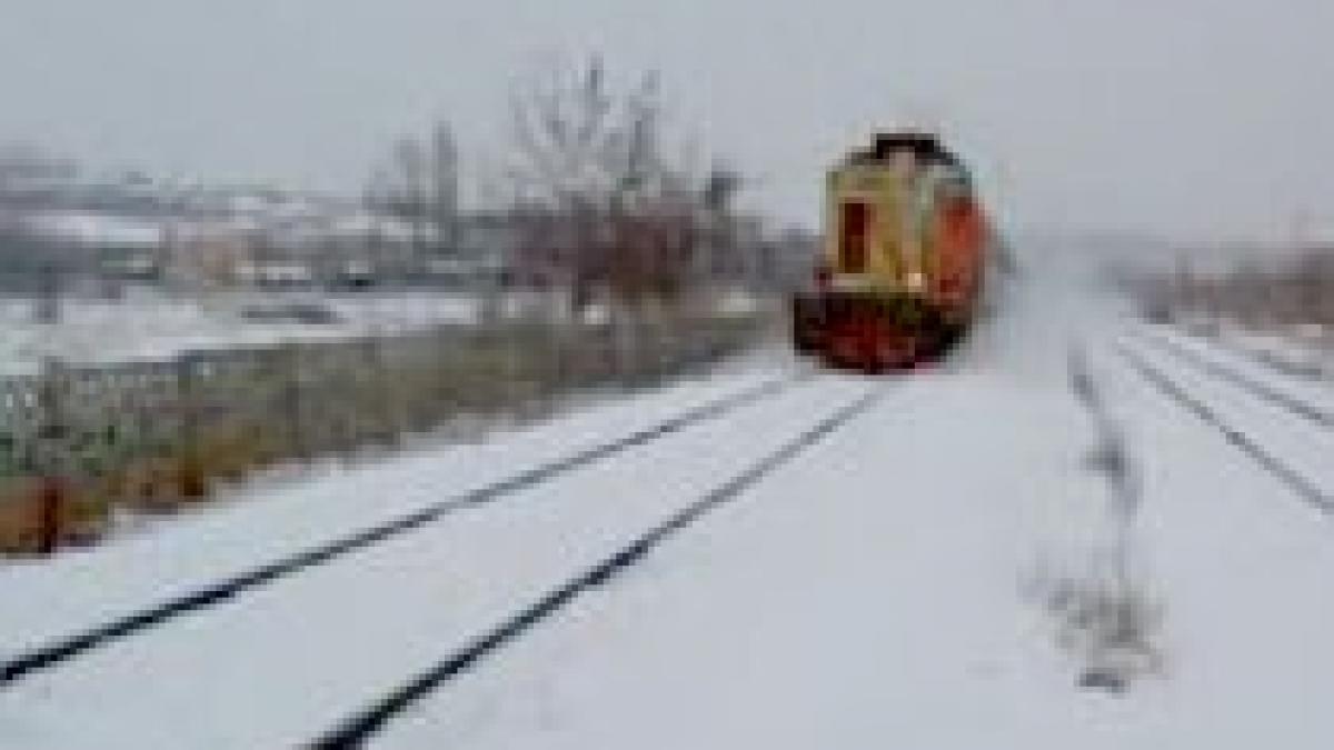 12 morţi şi 20 de răniţi după ce un autocar s-a ciocnit de un tren