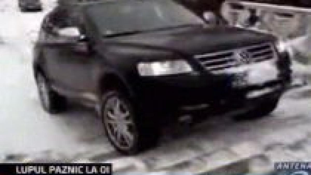 Bacău. Cu SUV-ul pe scările dintr-un parc. Poliţiştii, spectatori (VIDEO)