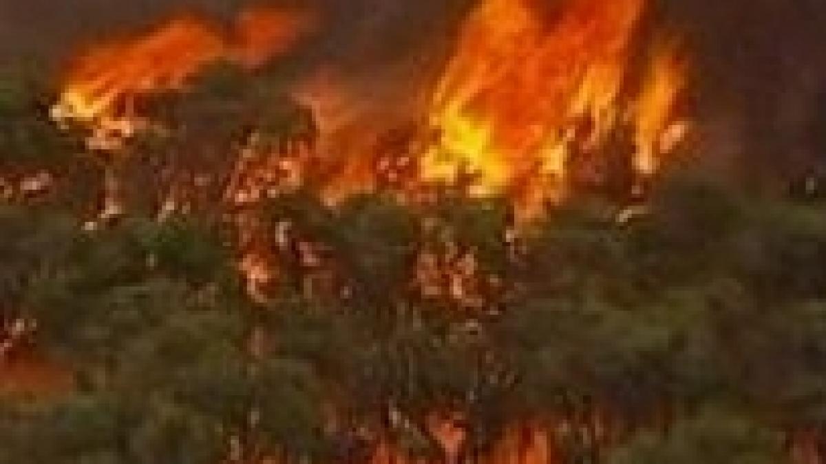 Noi incendii în Australia, din cauza temperaturilor ridicate