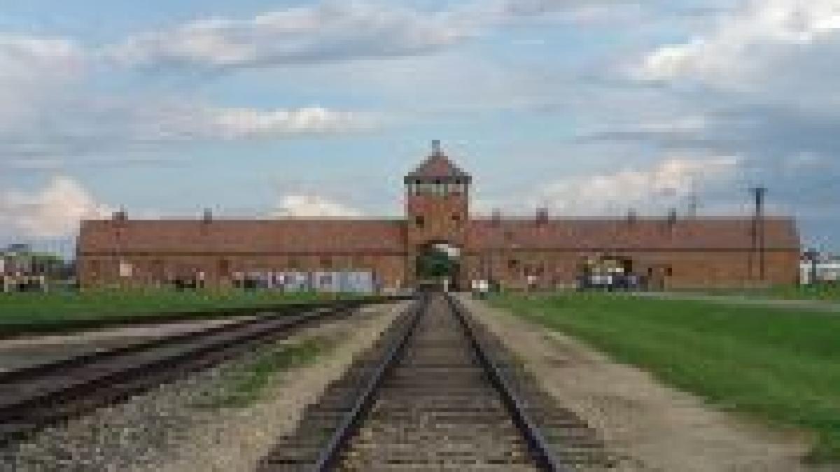 Firmă din industria auto germană, acuzată că a folosit păr de la Auschwitz

