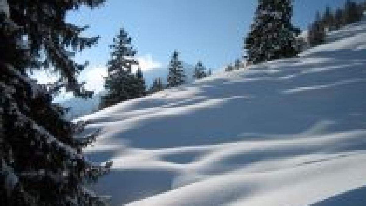 Doi schiori au murit, după ce au fost surprinşi de o avalanşă la Straja