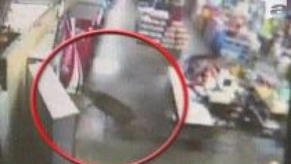 Cu căprioara la cumpărături. Trei animale au creat haos într-un supermarket (VIDEO)