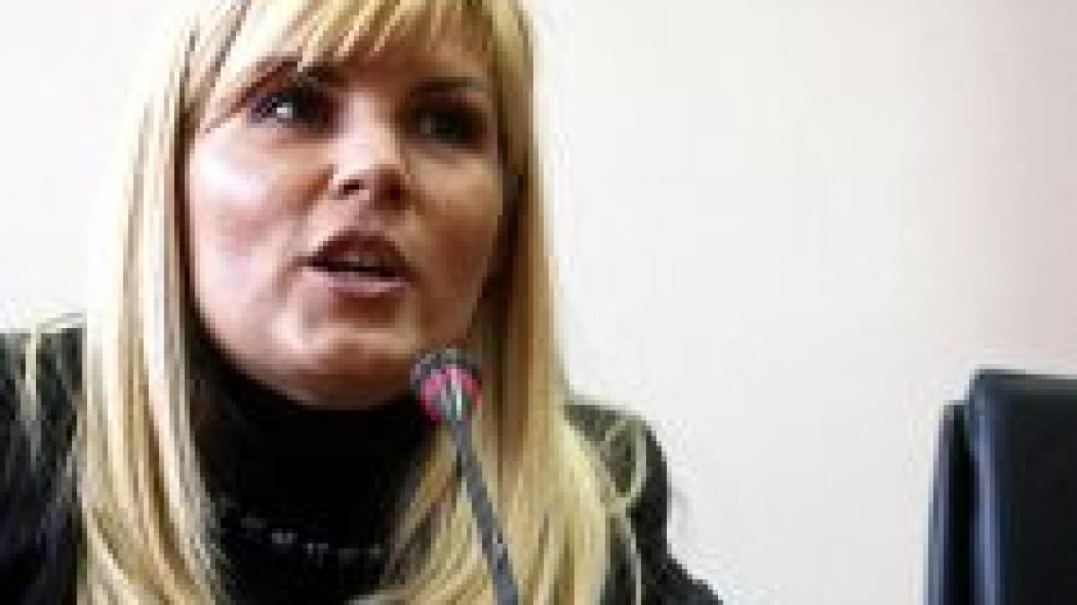 Elena Udrea promite un brand turistic naţional pentru care va cheltui 75 milioane de euro

