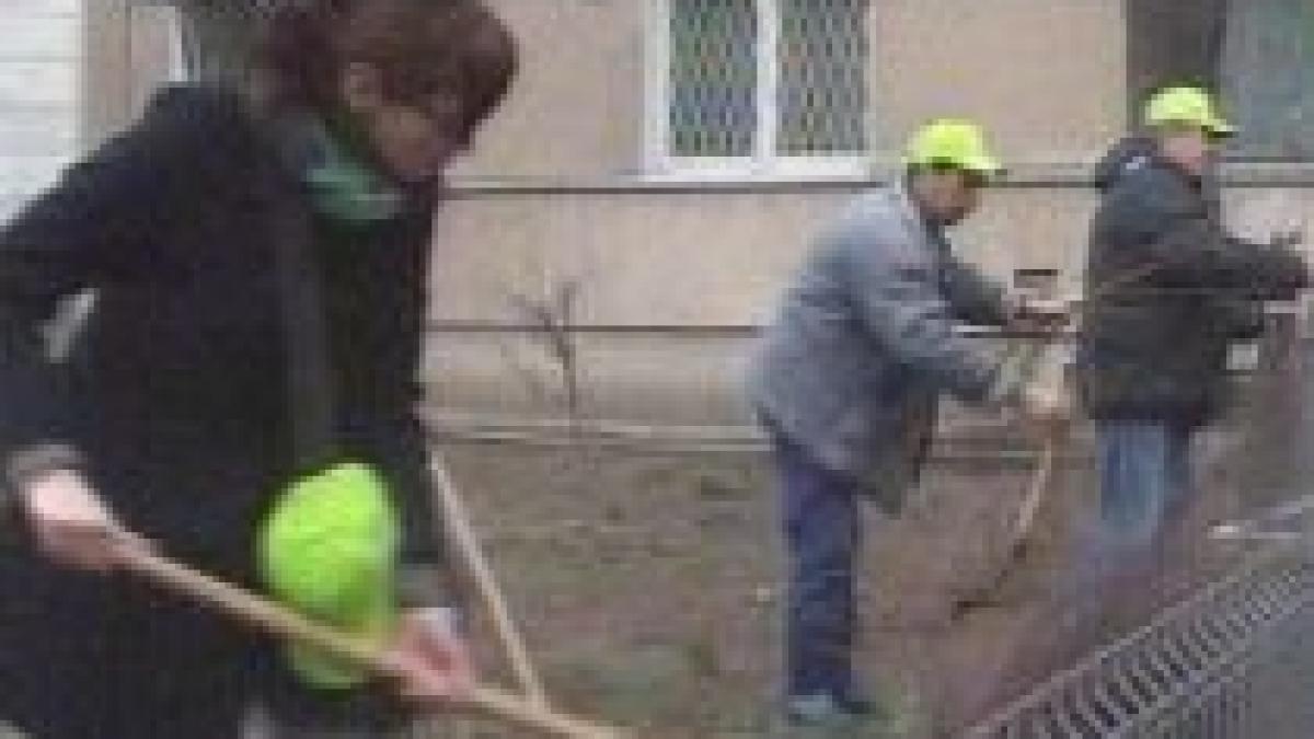 Primăria Bucureştiului a demarat campania ?Capitala creşte verde?