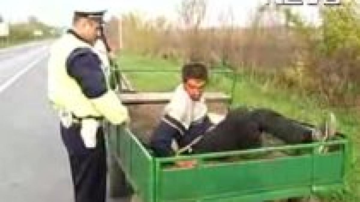 Căruţa condusă de pilotul automat (VIDEO)