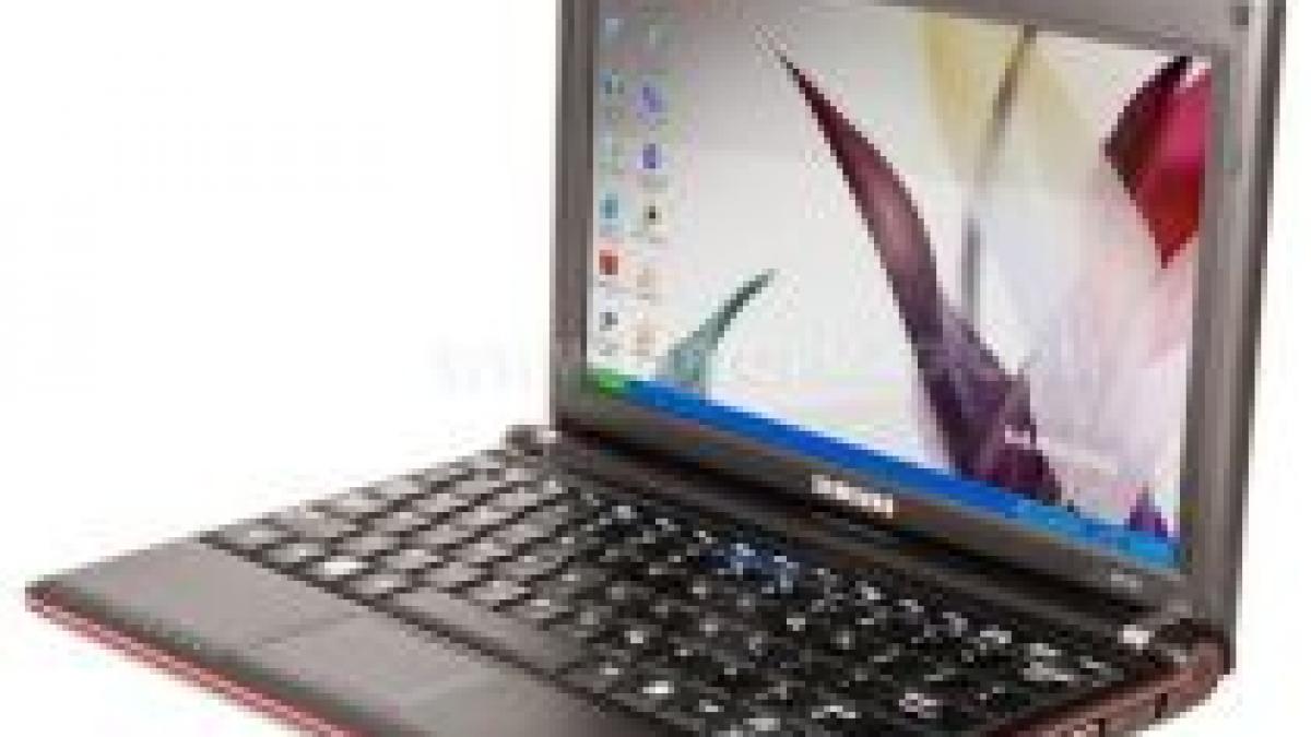 Samsung a prezentat un nou notebook, N110