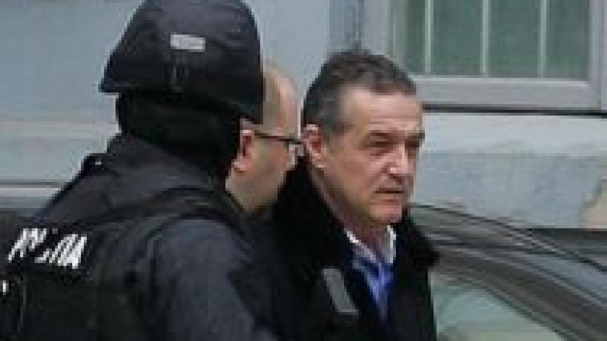 Gigi Becali, săltat de Poliţie, hoţii de maşini, liberi. Motivul reţinerii: atacarea lui Popoviciu şi Băsescu (VIDEO)
