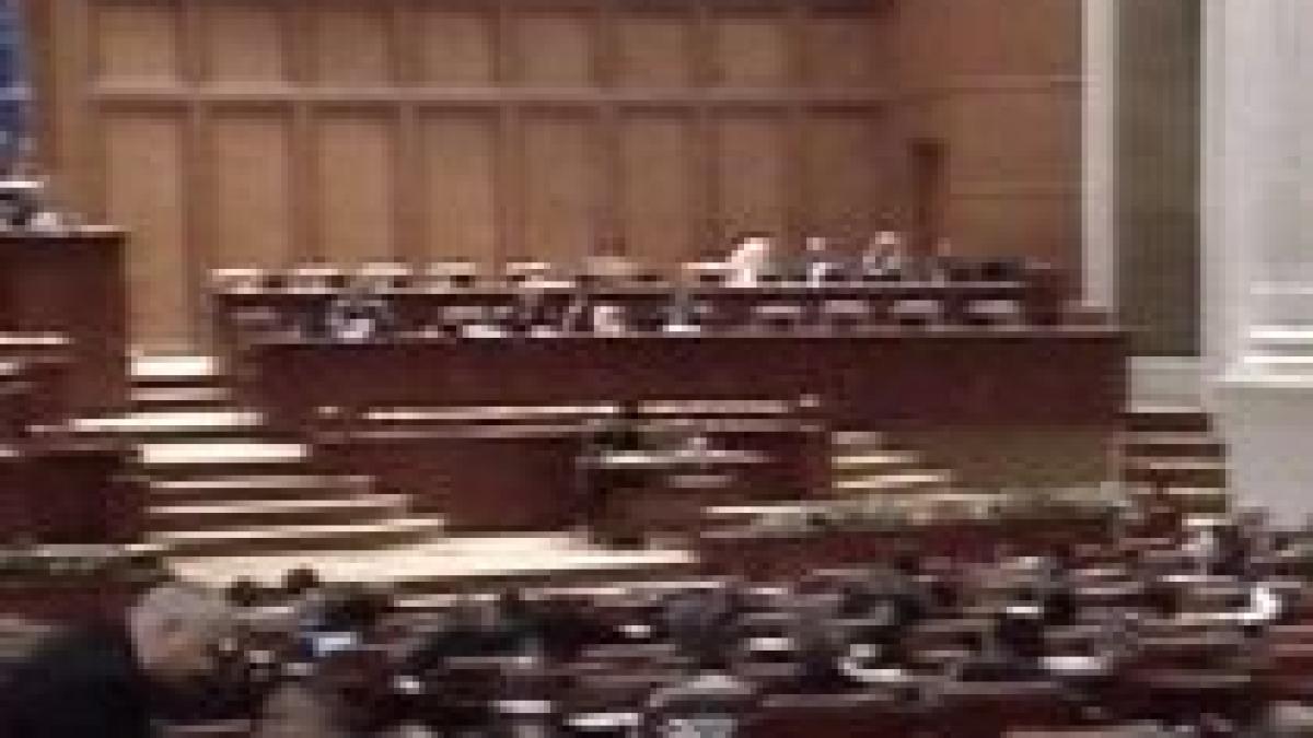 Moţiunea PNL pe educaţie, respinsă de Parlament