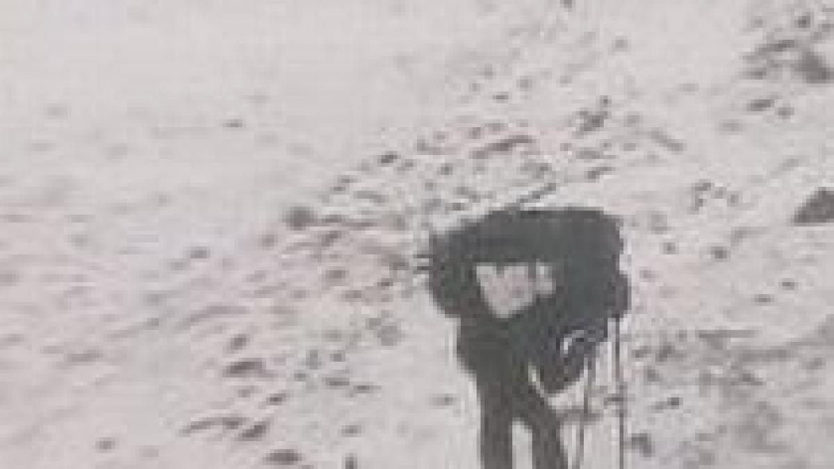 Şase oameni au murit, după ce au fost surprinşi de o avalanşă în Munţii Alpi