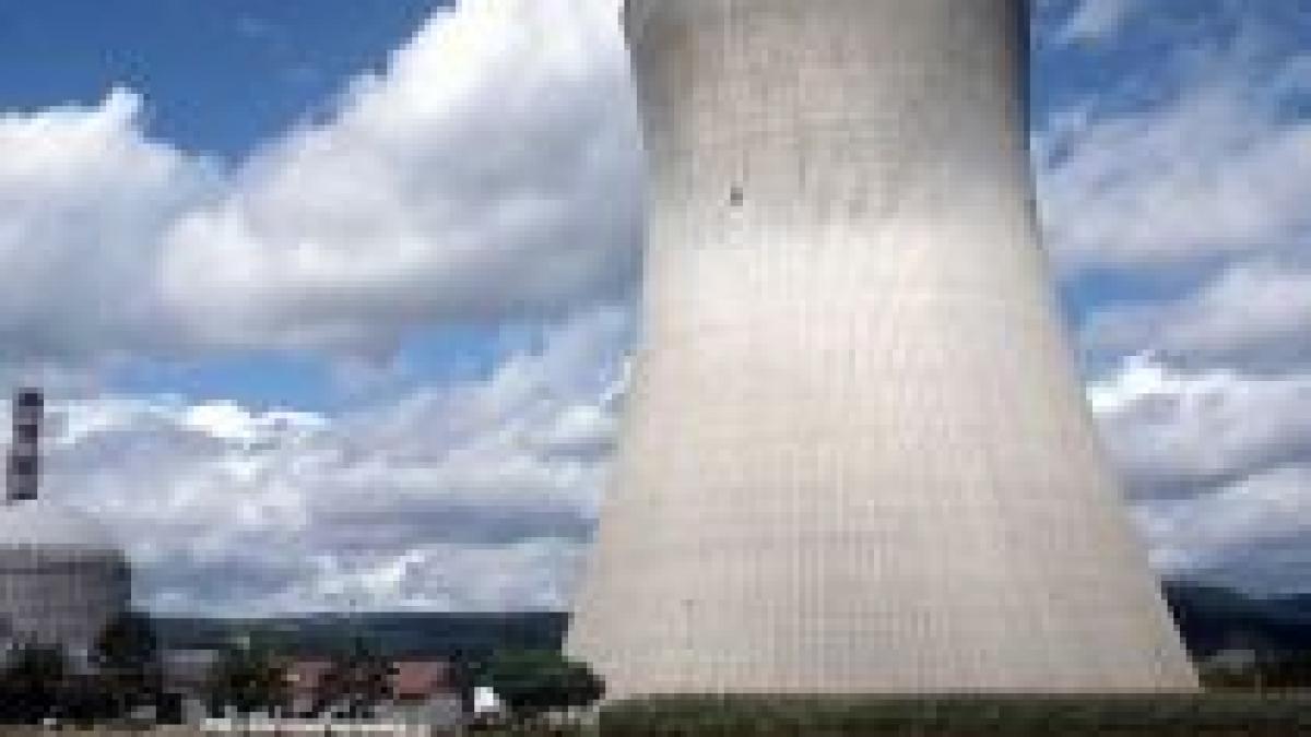 Companiile străine vor avea 35% din a doua centrală nucleară din România

