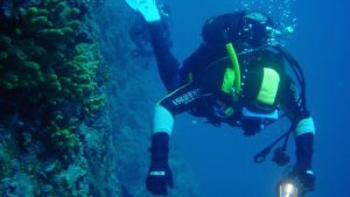 Mare înroşită de sânge, în Egipt. O turistă a fost muşcată mortal de un rechin