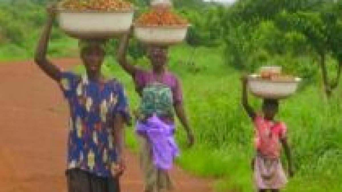 G8 se va angaja să sprijine agricultura africană
