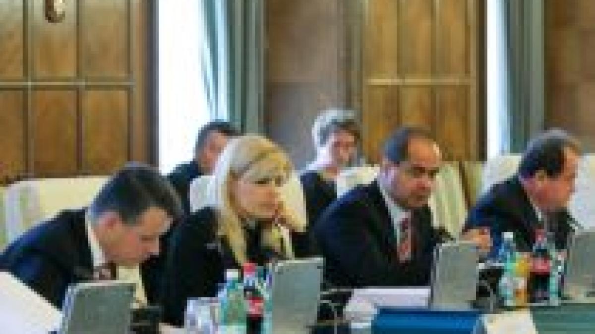 Şedinţă extraordinară pe tema proiectului Nabucco, duminică, la Guvern