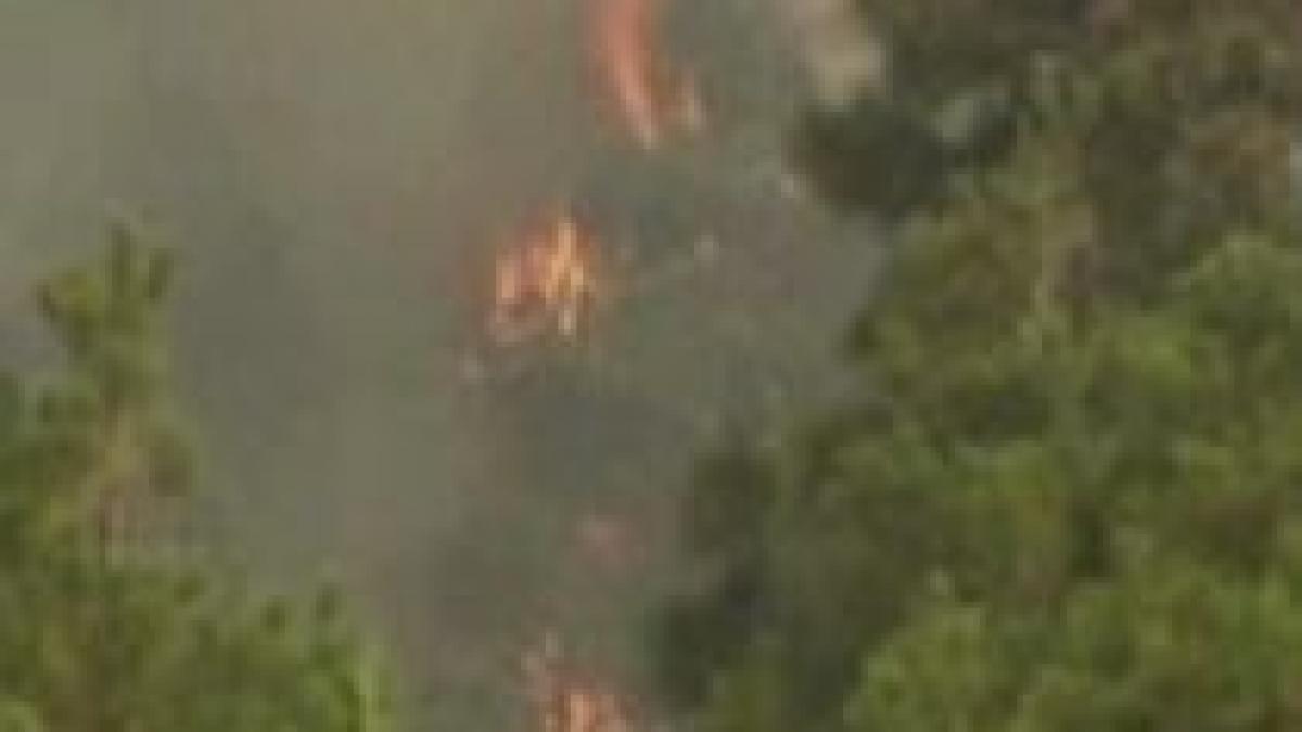 Incendiile puternice fac prăpăd în mai multe zone ale lumii (VIDEO)
