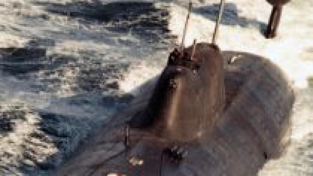 Tradiţia Războiului Rece: Submarine nucleare ruseşti, în largul coastelor SUA