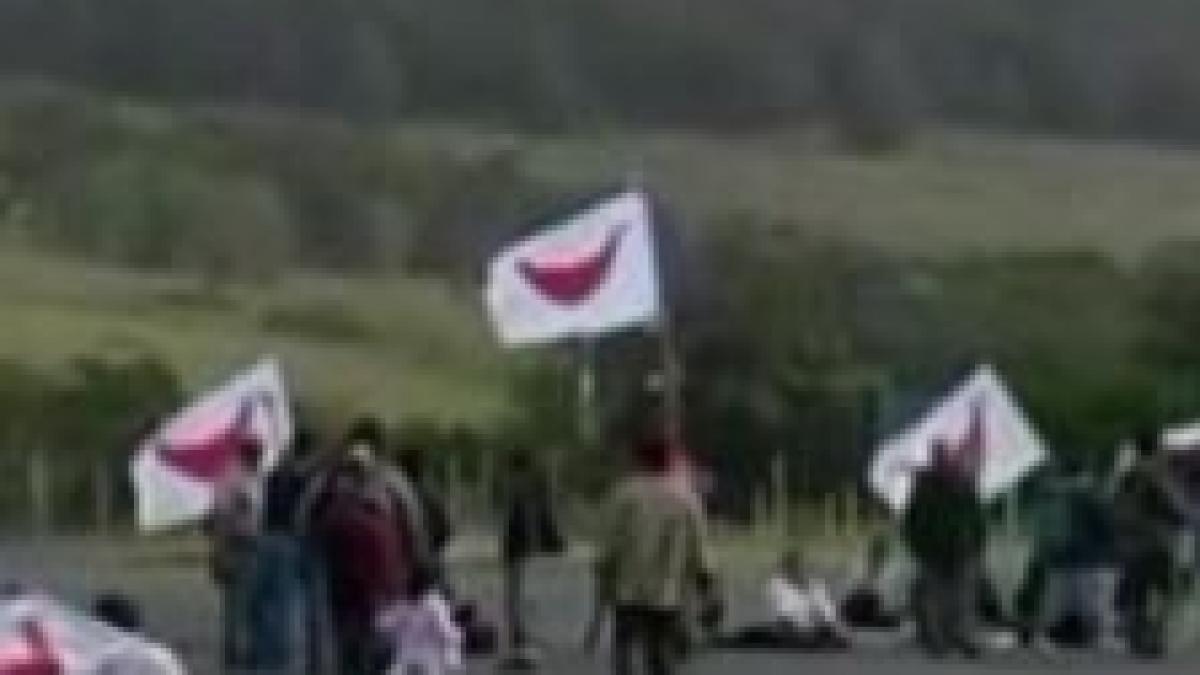 Sute de turişti, captivi pe Insula Paştelui din cauza unor manifestanţi (VIDEO) 