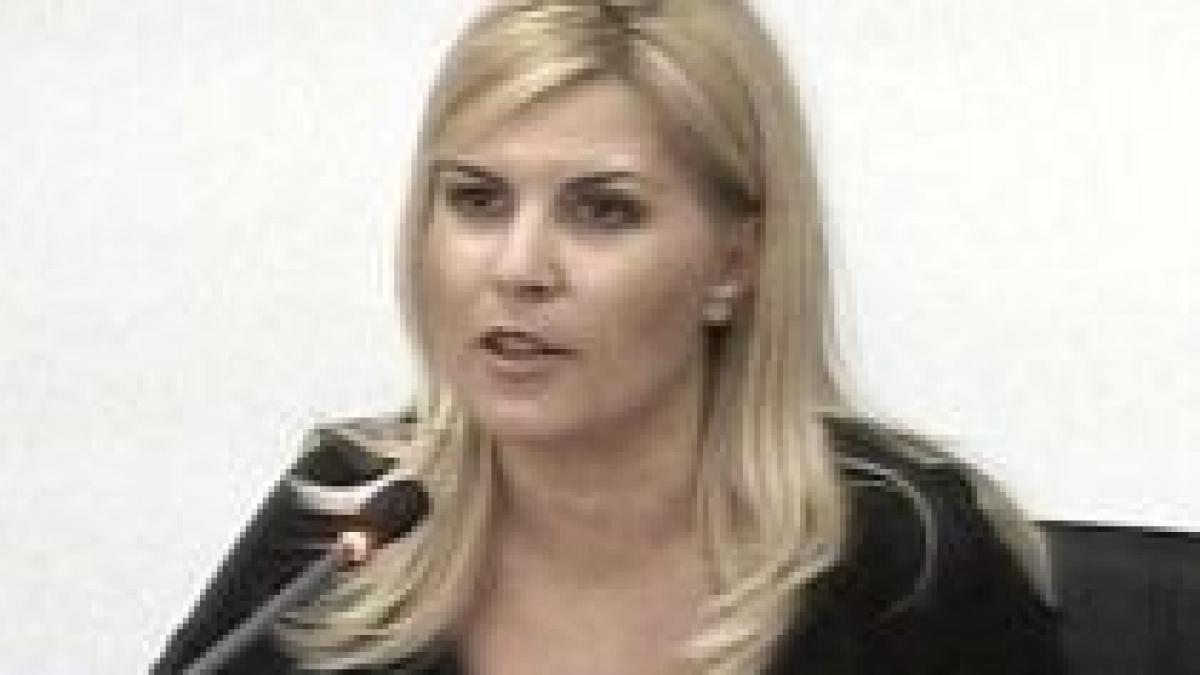 Elena Udrea are liber la construit pe un teren pe care trebuia să treacă iniţial un bulevard